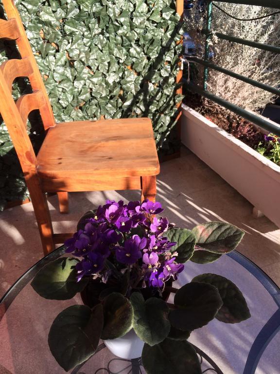 Shelisa B&B Рим Екстер'єр фото